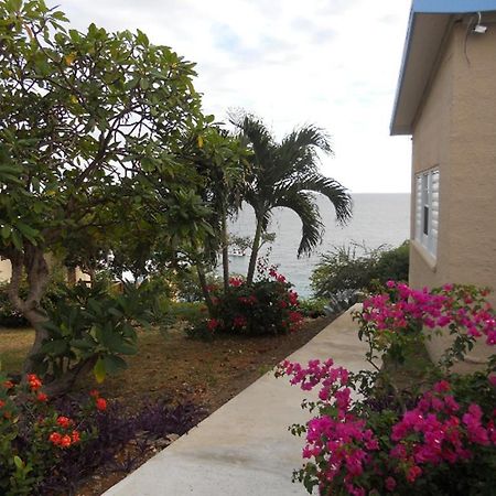 Paradise Cove Ocean Front Villas And Suites Nazareth المظهر الخارجي الصورة